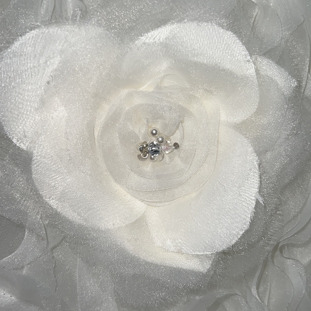 Wedding Dress - Picture 10 of 15